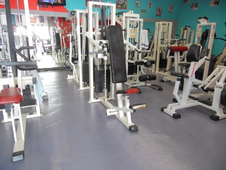 greg gym hollywood argeles sur mer